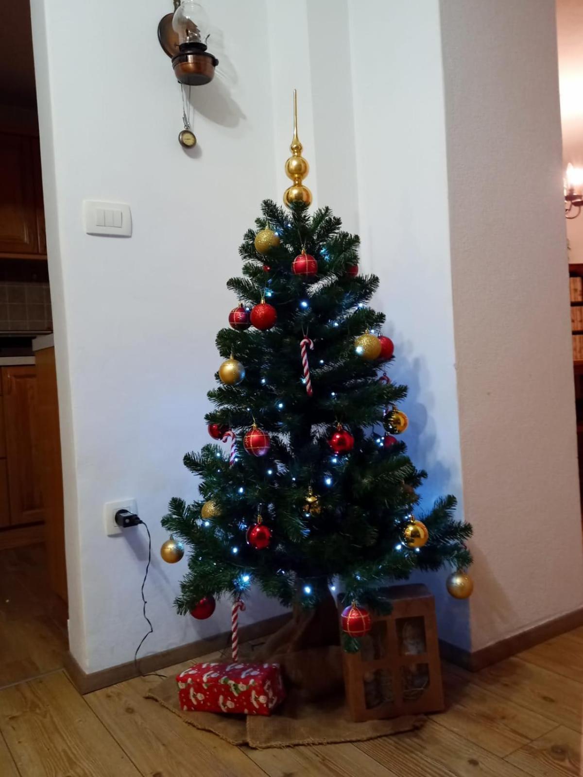 Apartma Lana Mojstrana Exteriér fotografie